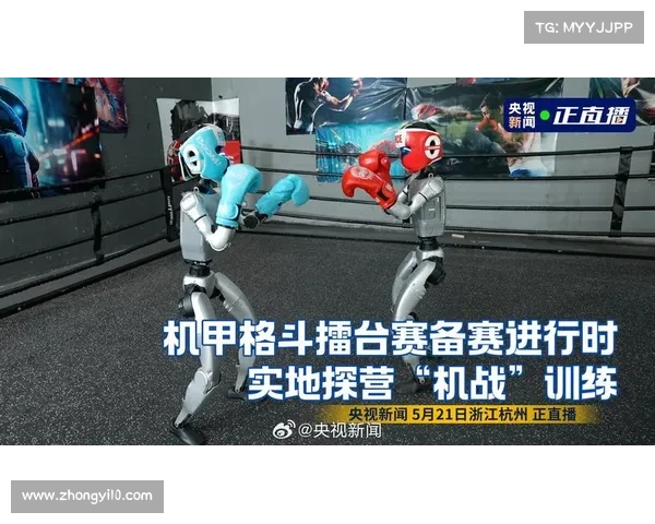 都有哪些格斗赛事,格斗游戏赛事有哪些